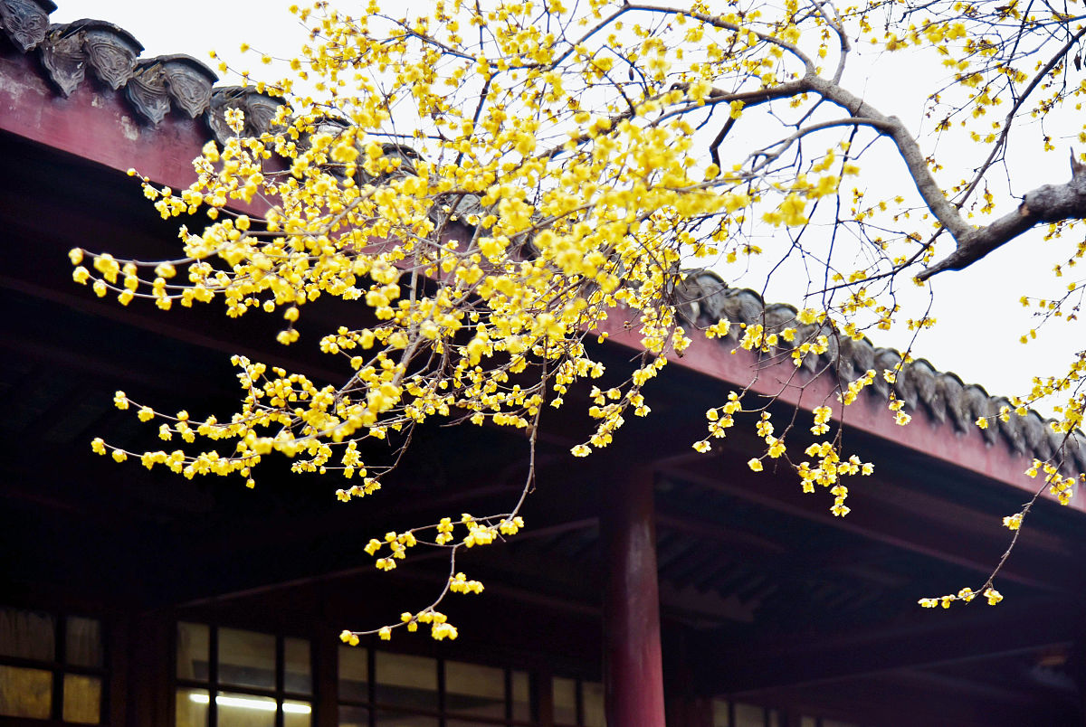 承德石油高等专科学校旅游英语专业好不好发展前景怎样