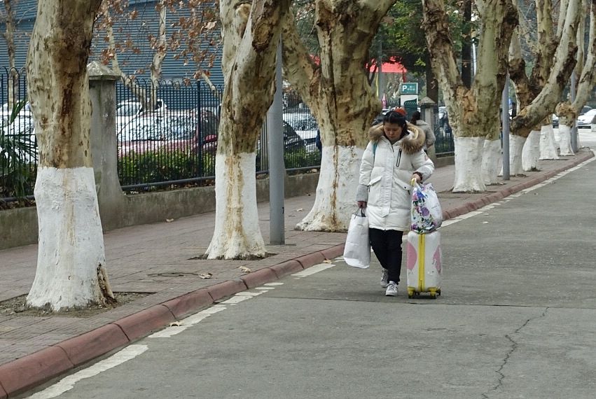 四川师范幼师学院2019年招生要求