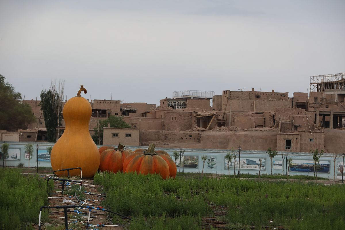 伊吾县前山乡旅游攻略：探寻名胜风景，体验民俗风情