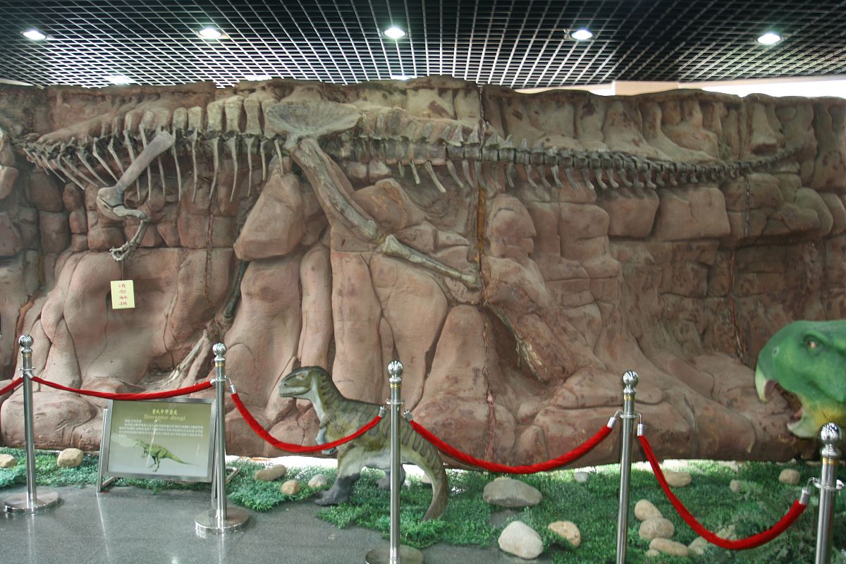 甘肃省临夏回族自治州恐龙地质公园的地层