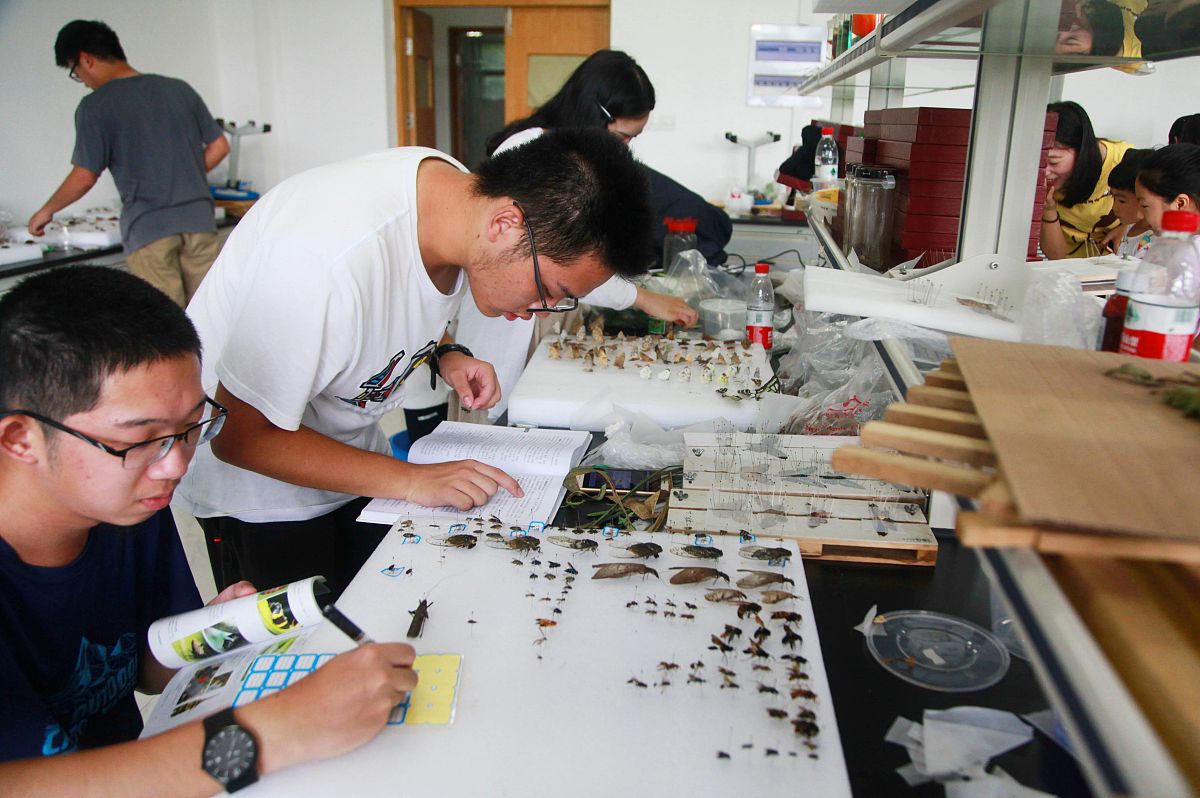 四川省蚕丝学校蚕桑课程:深度解析及教学质量评估