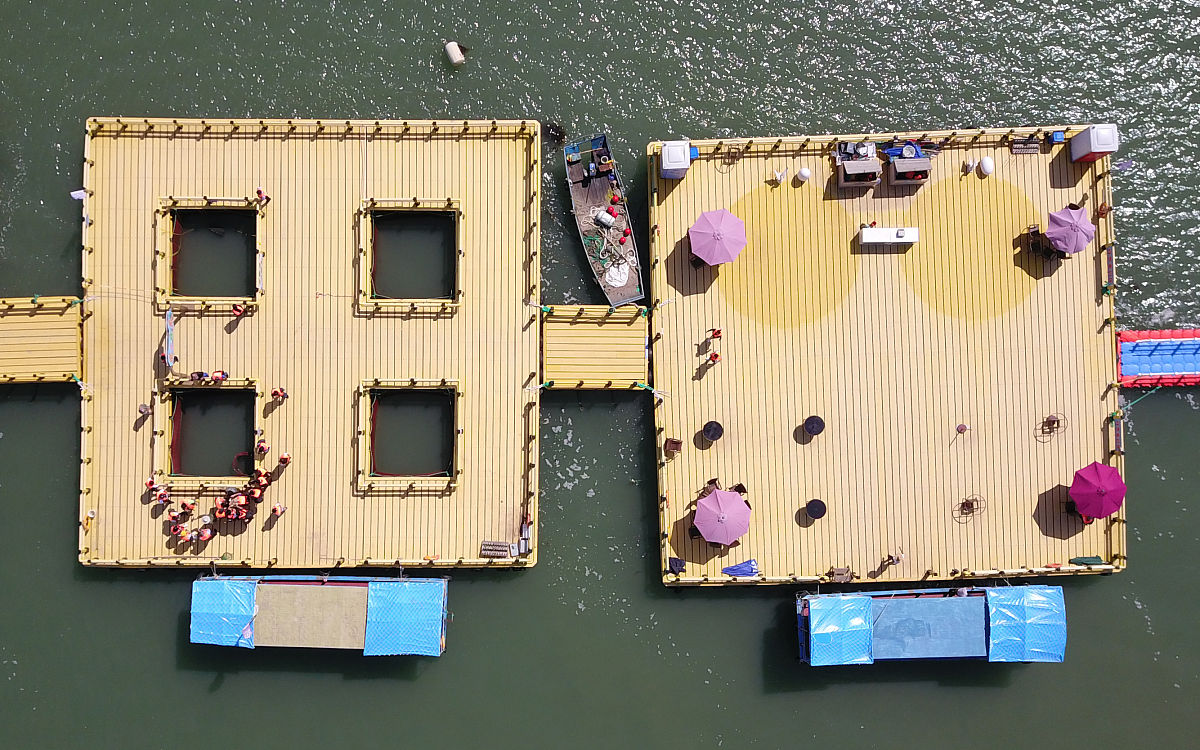 威海海洋职业学院酒店管理专业优势怎么样发展前景好不好呢