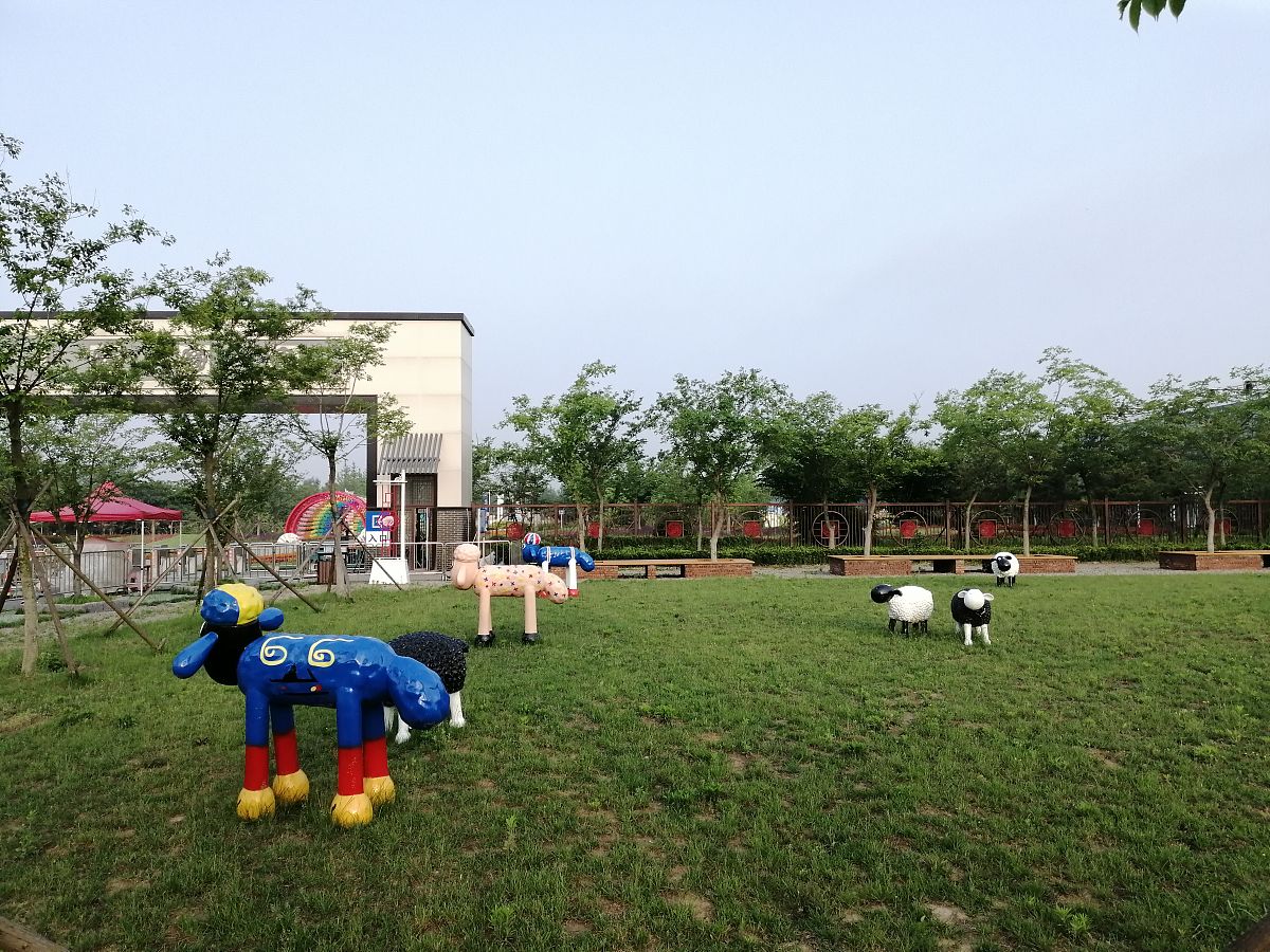 幼儿园绿色草坪资源点可以发展什么？