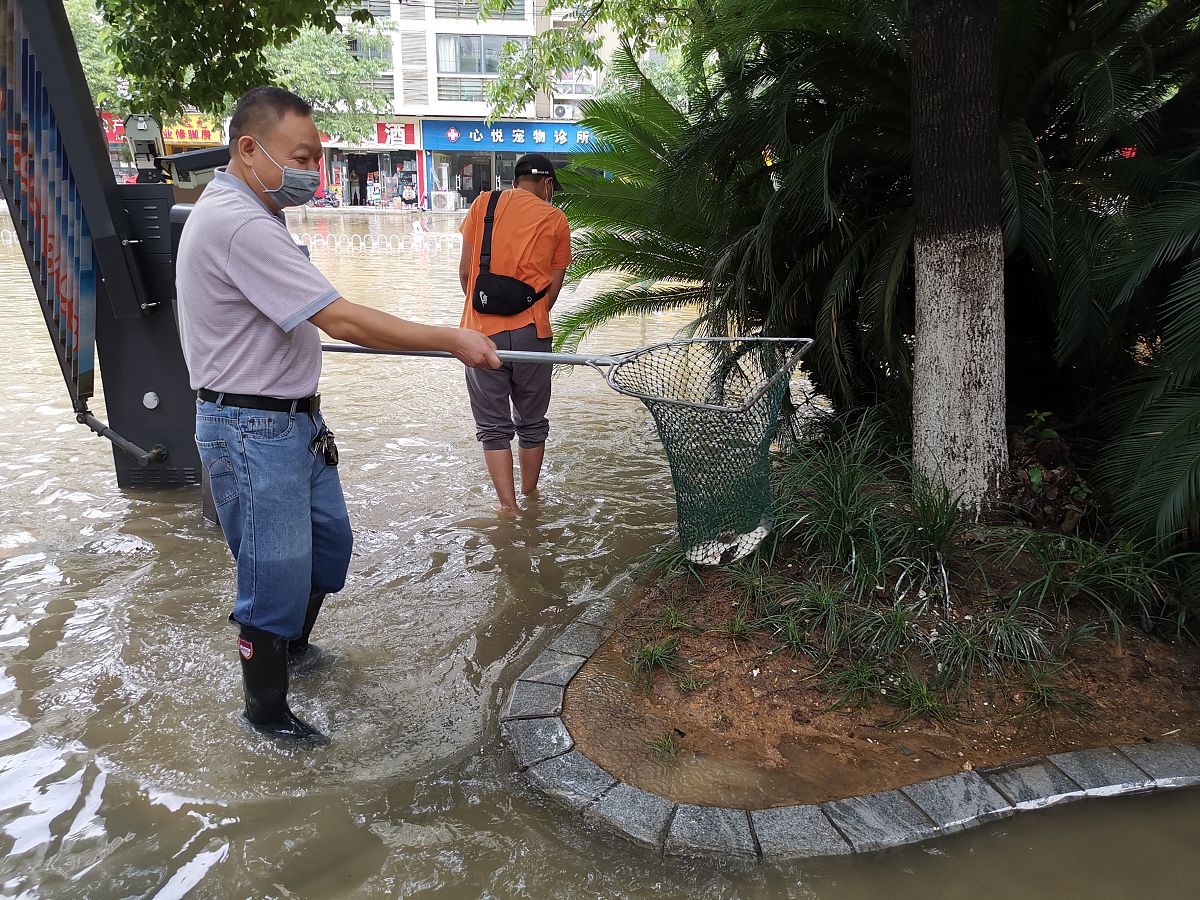 梧州市内涝点整治项目必要性：改善民生，促进发展