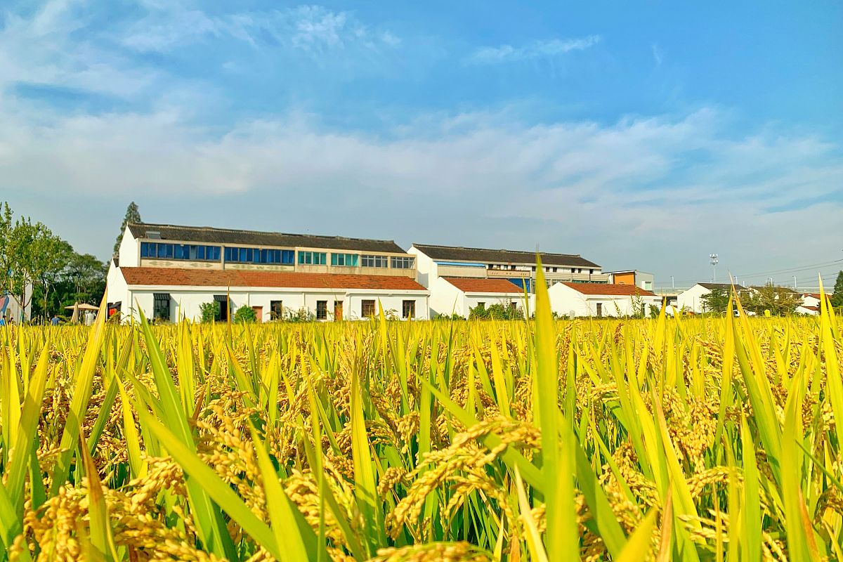 常州市中吴实验学校2021年招生简章