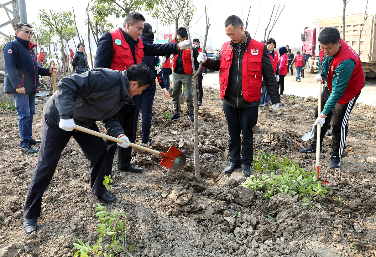 你是林业组工作人员现需要介绍成立树苗管护队伍的情况以及发的群众参与管护的做法经验