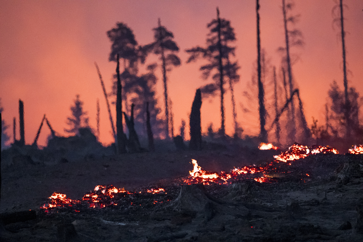 气候变化下寒温带森林树冠火灾风险研究