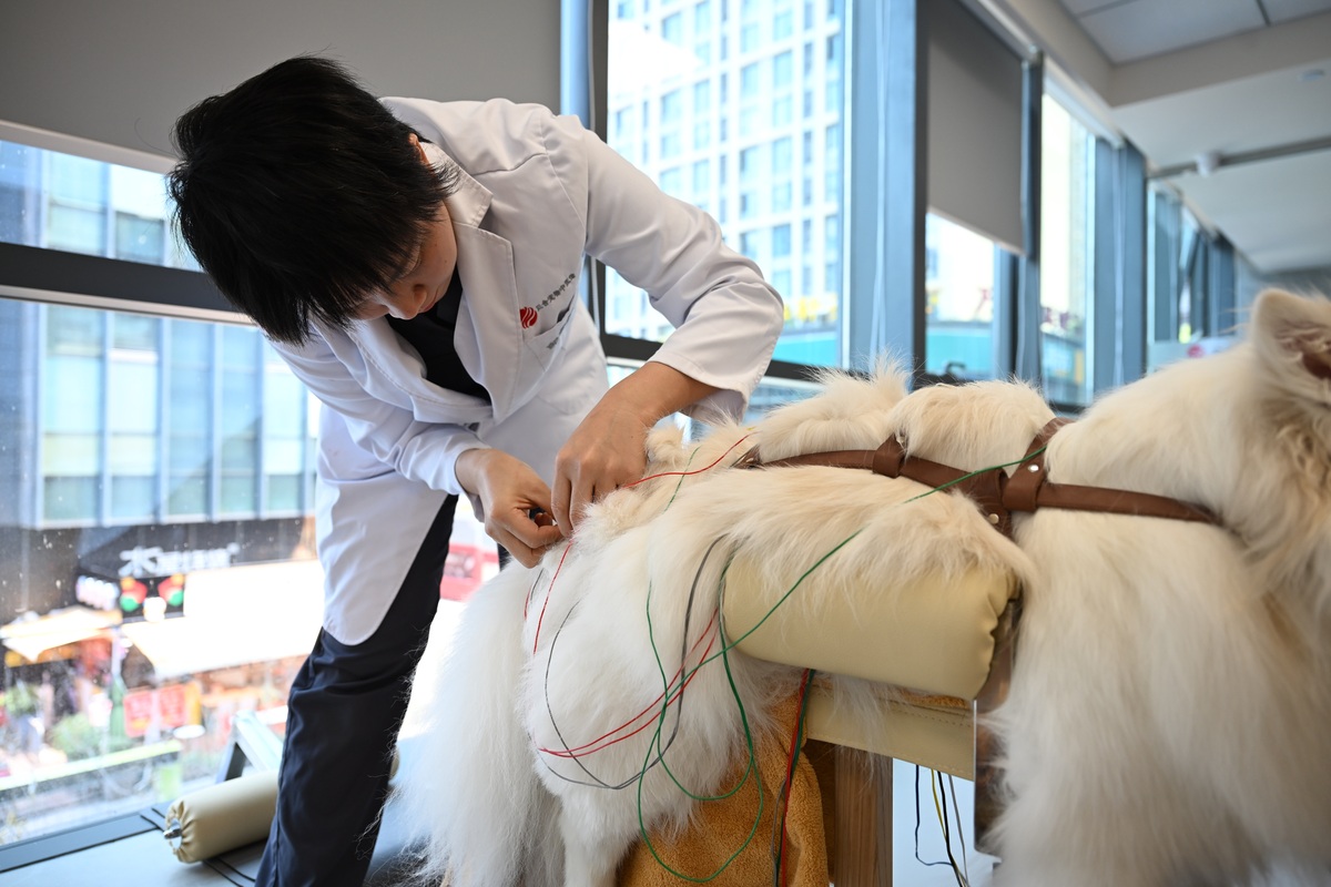 黑龙江农业职业技术学院宠物临床诊疗技术专业专业好不好发展前景怎样