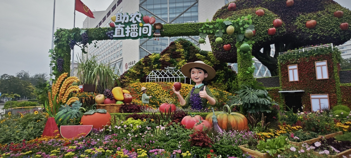 水果节庆：促进产业发展，丰富生活体验