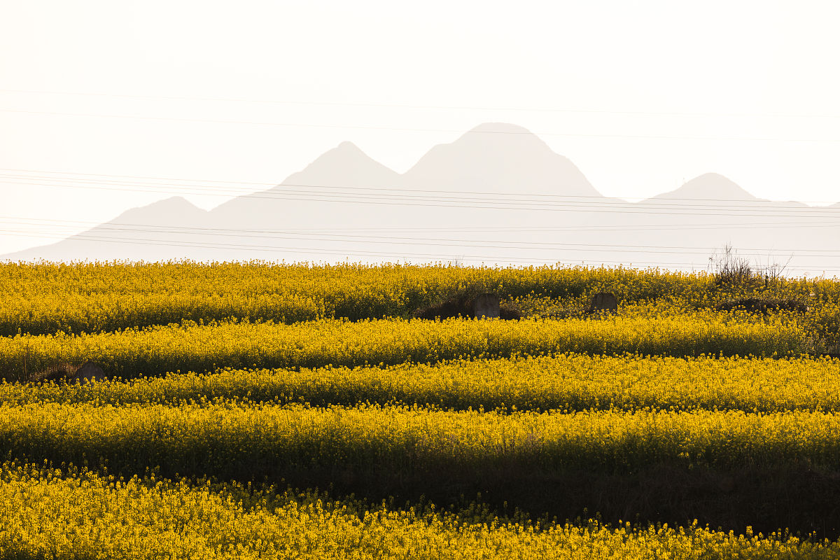 云南2021年哪里卫校比较好