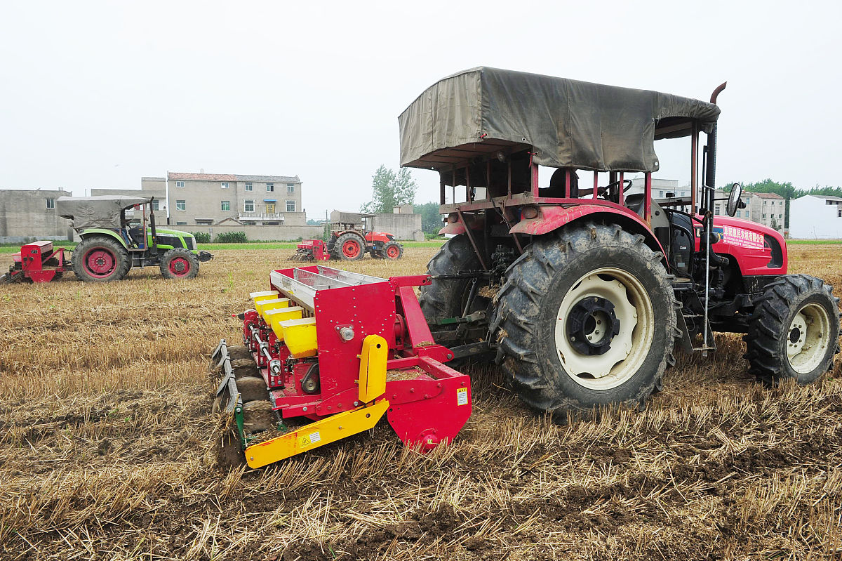 有效积温法则：农业生产中的关键指标