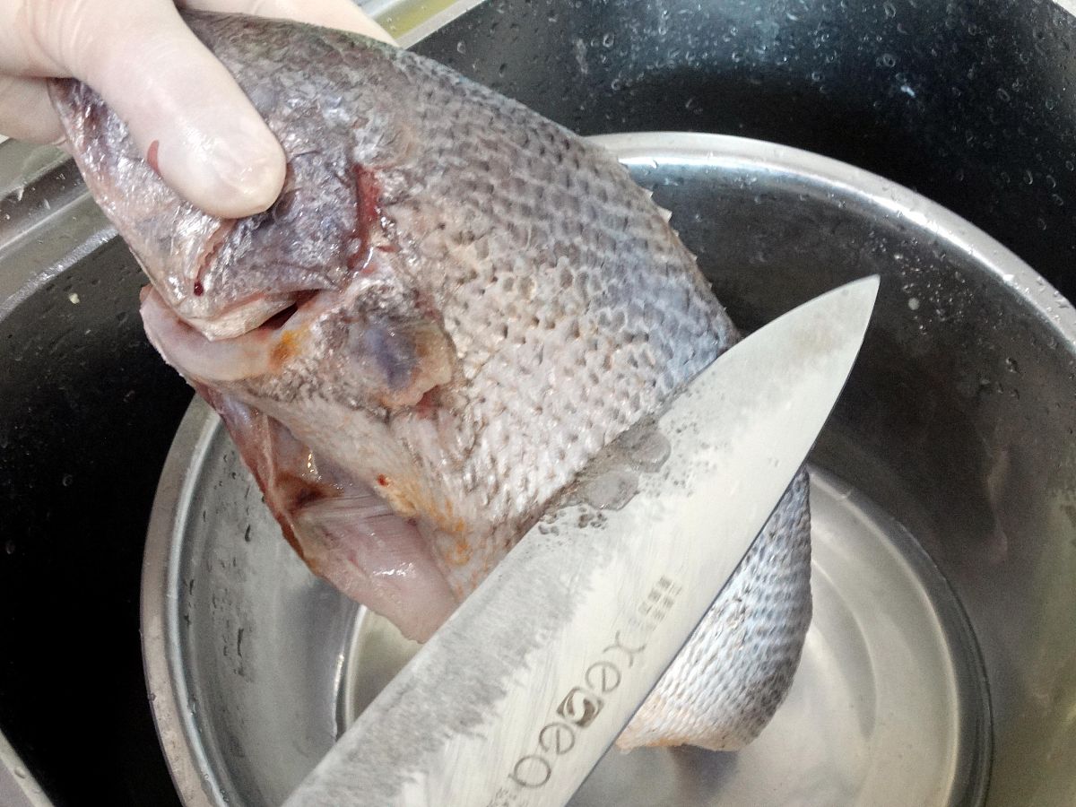 去除鱼腥味：7个实用技巧让你轻松烹饪美味鱼肉