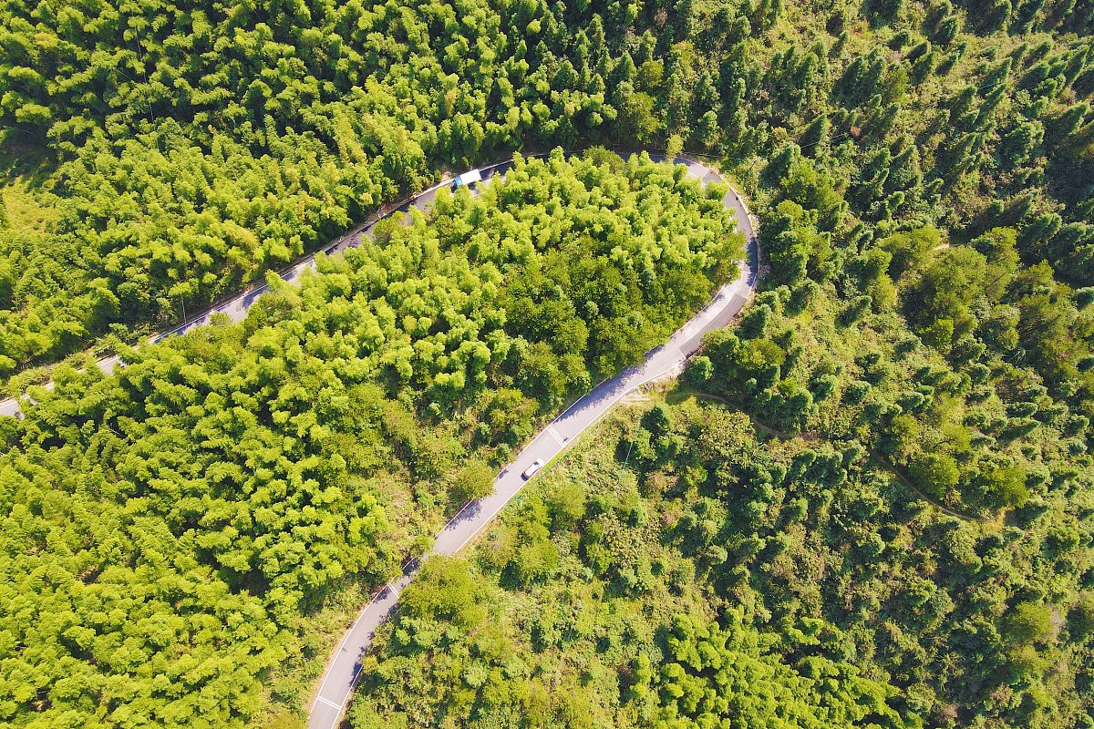 辽宁职业学院的农村行政与经济管理专业有没有行业前景