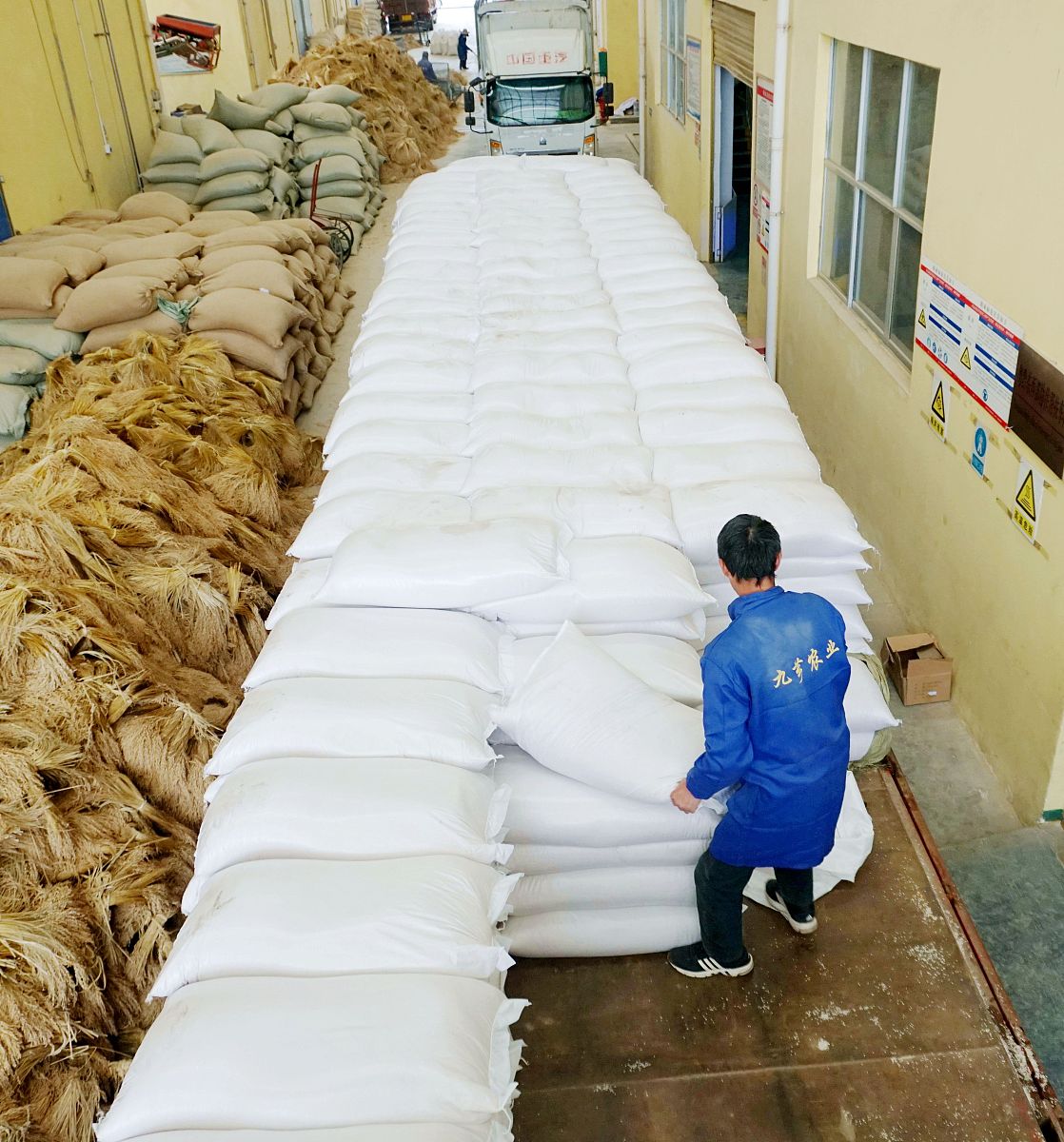 饲料厂实习收获：从理论到实践的宝贵经验