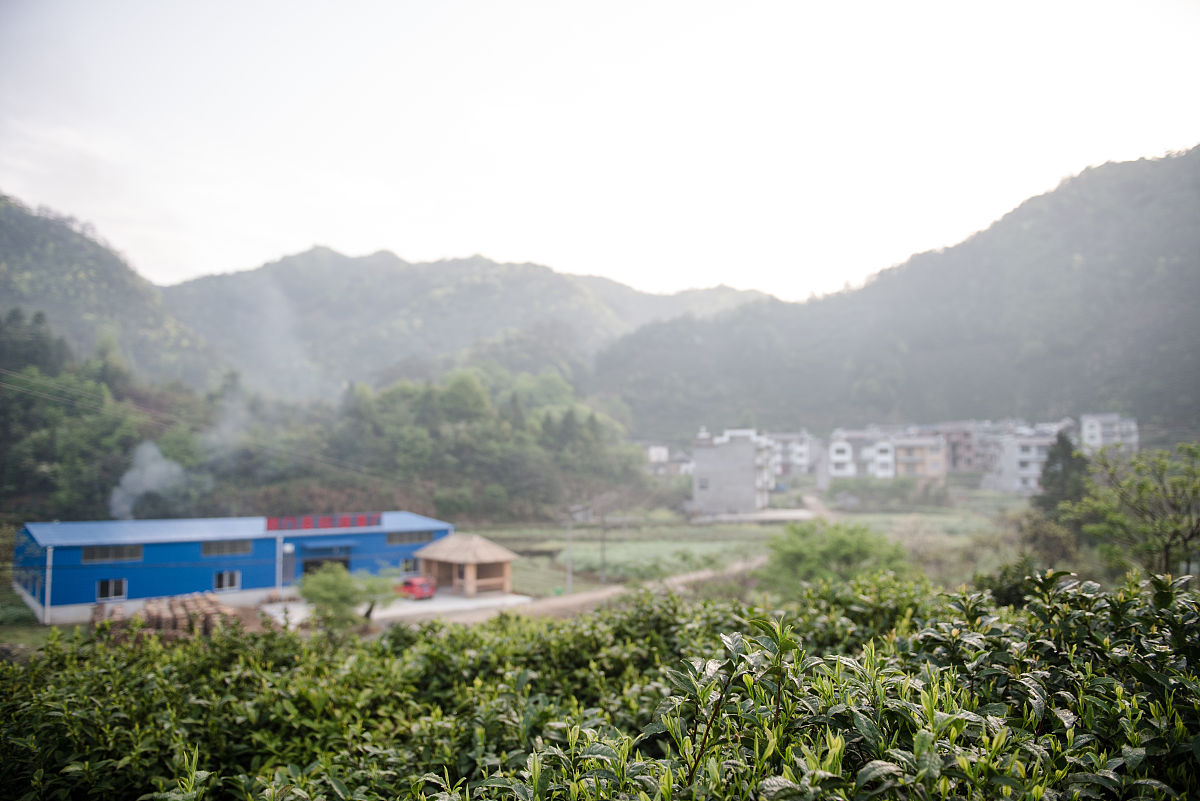 帮我策划一个蛋白粉新媒体创意广告脚本