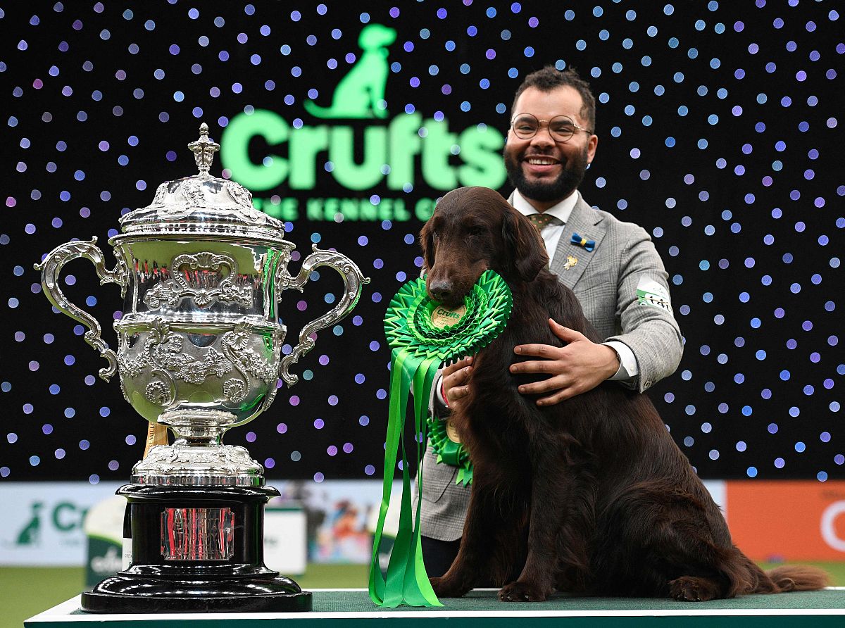 club)组织和主办,犬展每年3月<strong>初</strong>在英国伯明翰的国家展览中心(nec)进行