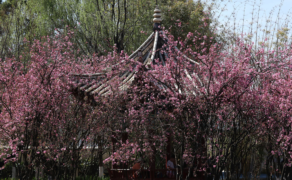 2022年云南建筑工程技术学校招生简章：培养建筑工程技术人才的摇篮