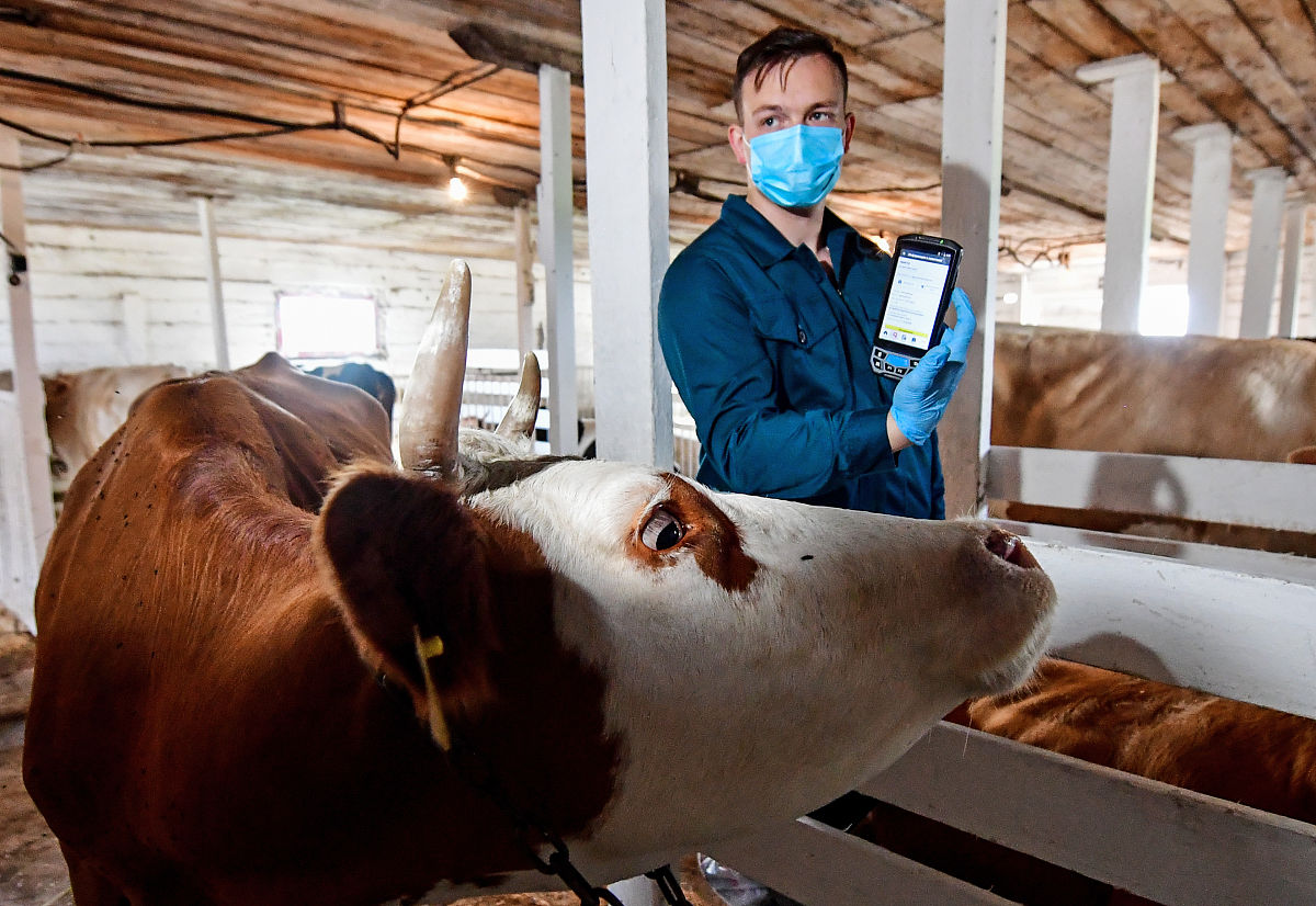 甘肃农业大学农业电气化专业教学内容怎么样？