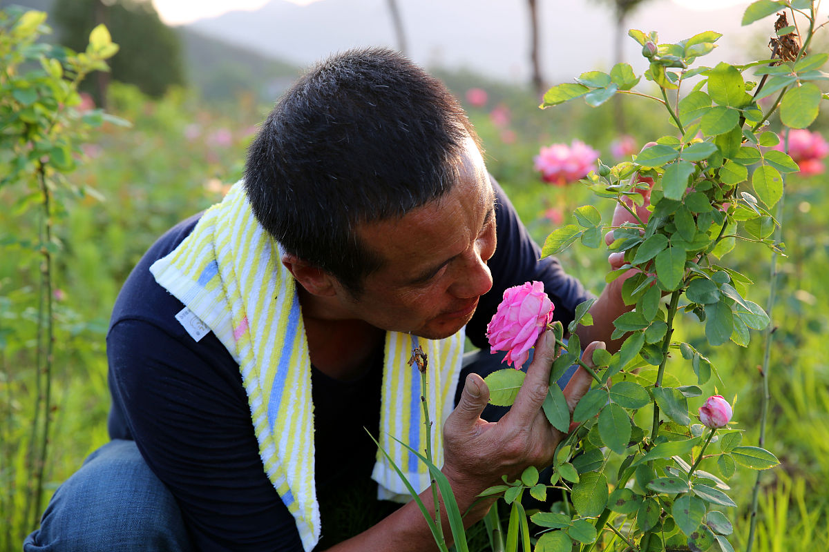 读技校需要多少钱