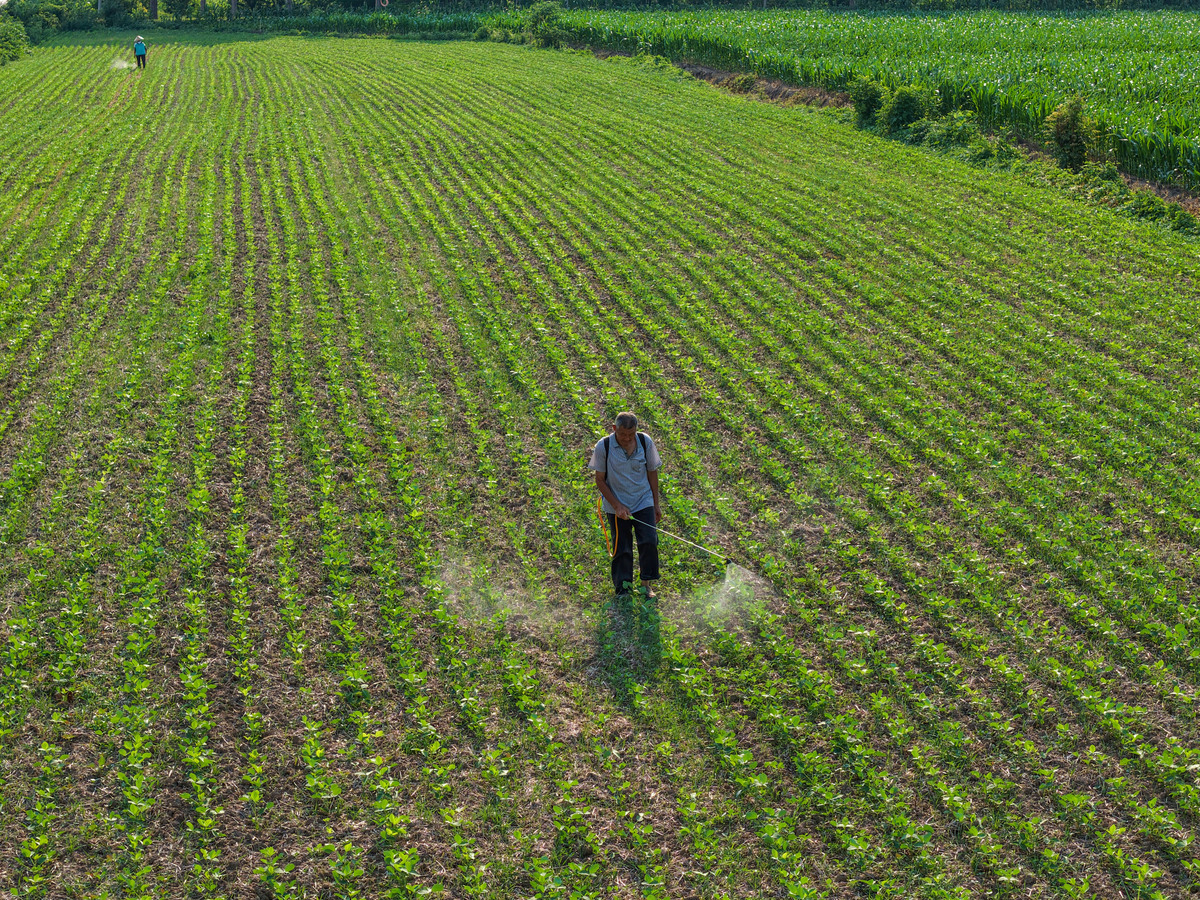 冬小麦灌溉制度优化研究：产量提升、用水效率提高、灌溉量减少