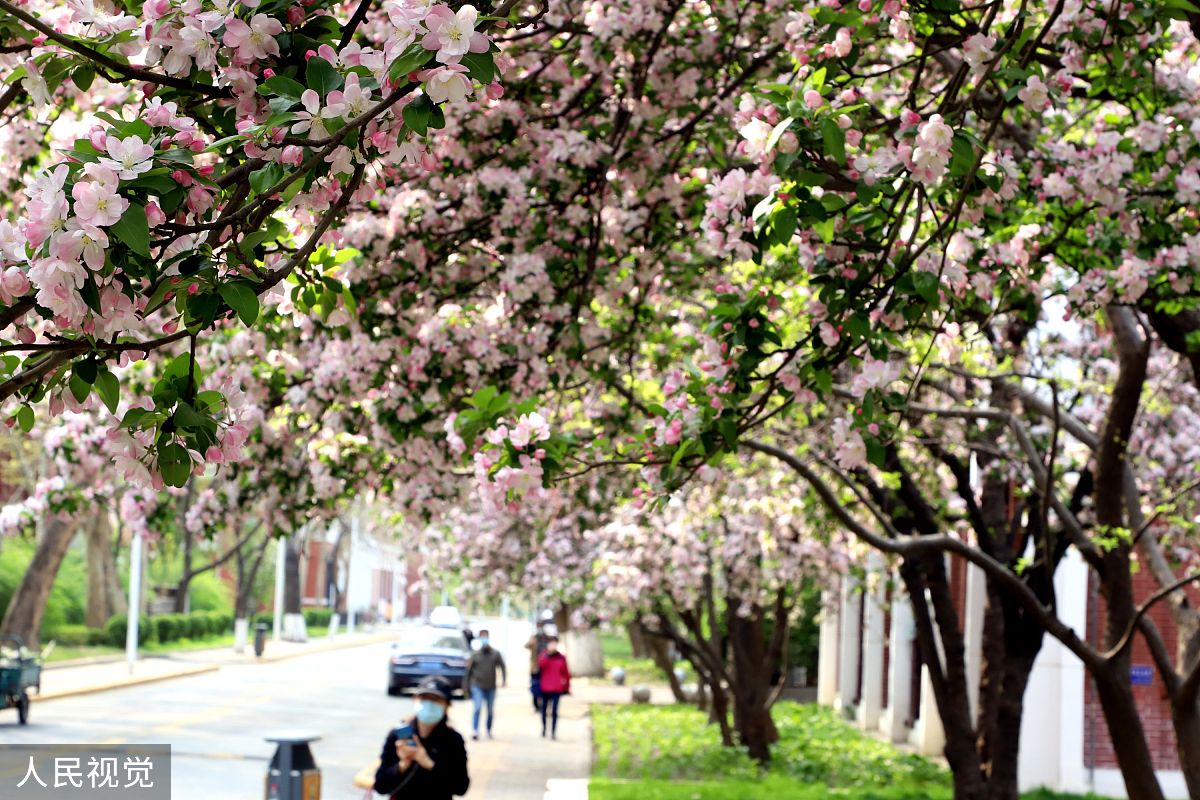 2020年初中生几号开学