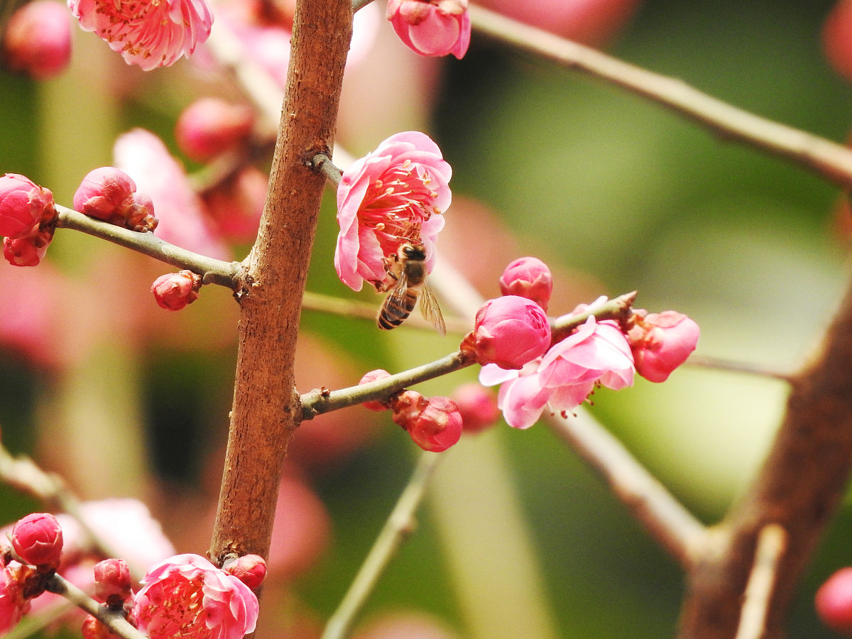 四川交通运输职业学校2021年招生专业介绍-培养交通运输人才的摇篮