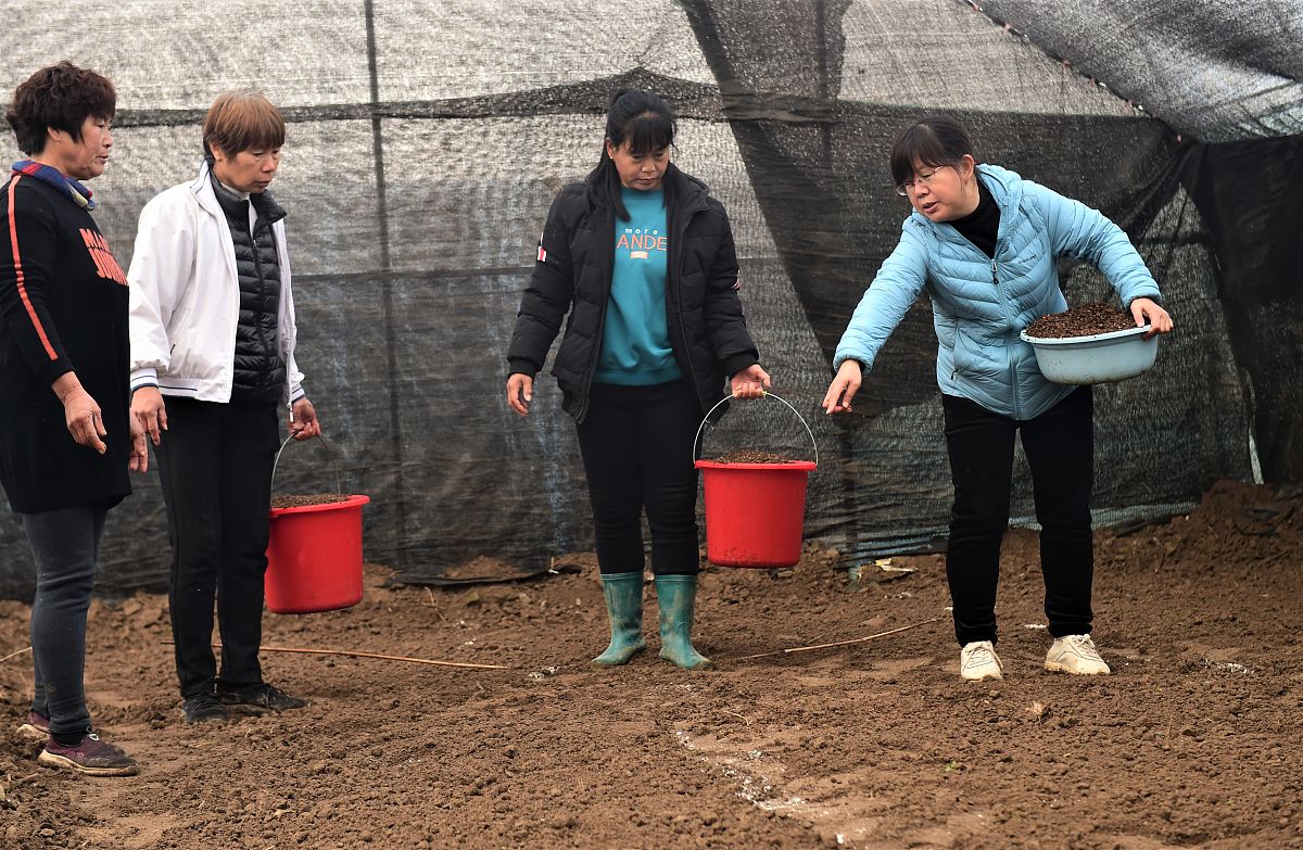 徐州生物工程学院2022年招生简章 - 报考条件及专业介绍