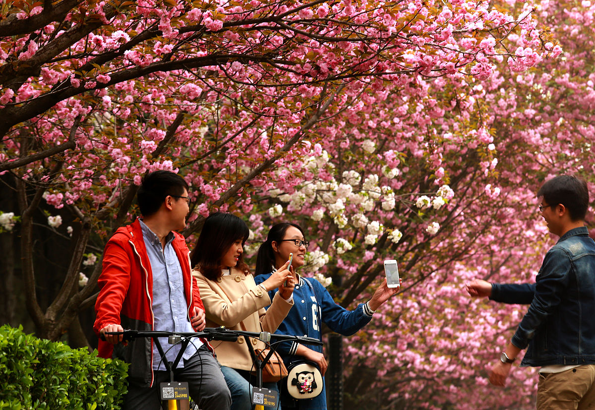 襄阳的花期景点