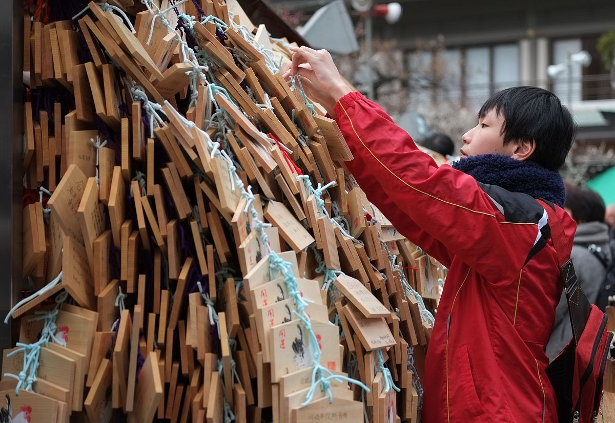 当地时间2017年2月18日,日本东京,神社挂满祷告的木牌.年度入学考试季