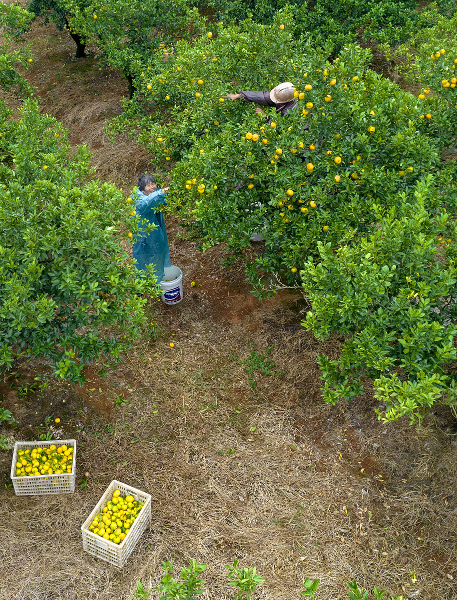 厦门生态农业技术专业就业前景和工资水平就业方向有哪些