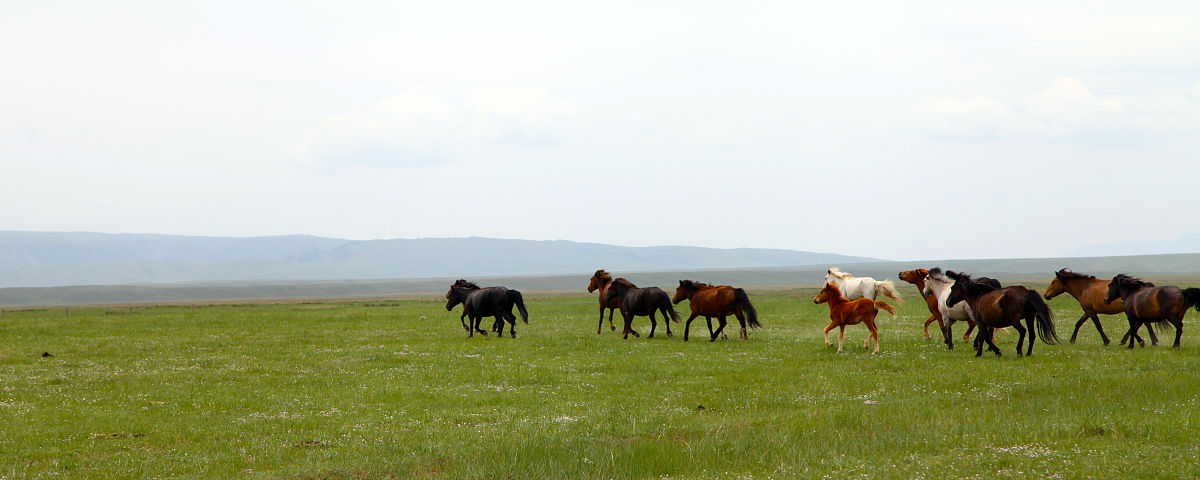 山丹培黎学校招生专业有哪些-怎么样