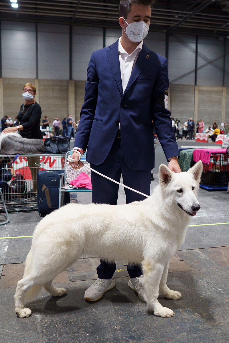 抚顺市农业特产学校宠物养护经营专业怎么样？就业前景与创业机会分析