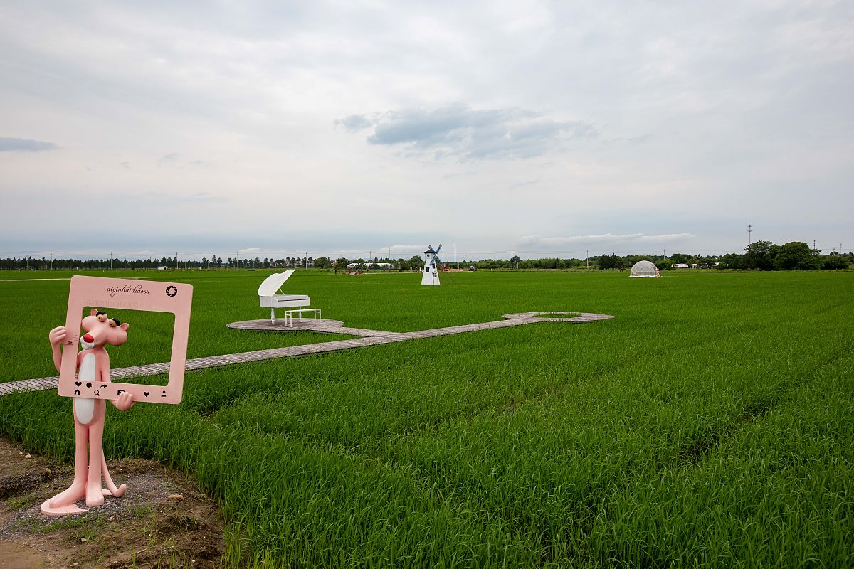 重庆旅游职业学院单招2023年高职扩招招生简章