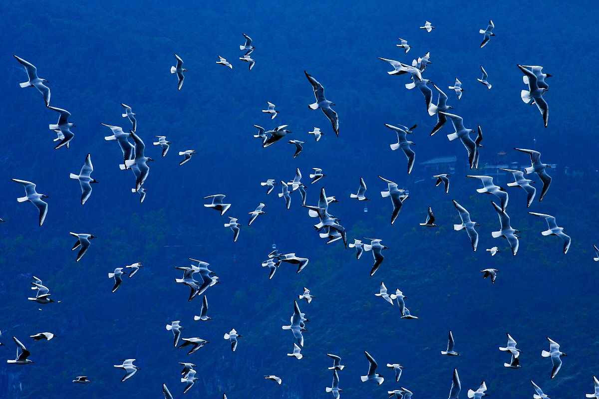 昆明农业学校会展设计与装饰专业怎么样？优势与劣势分析