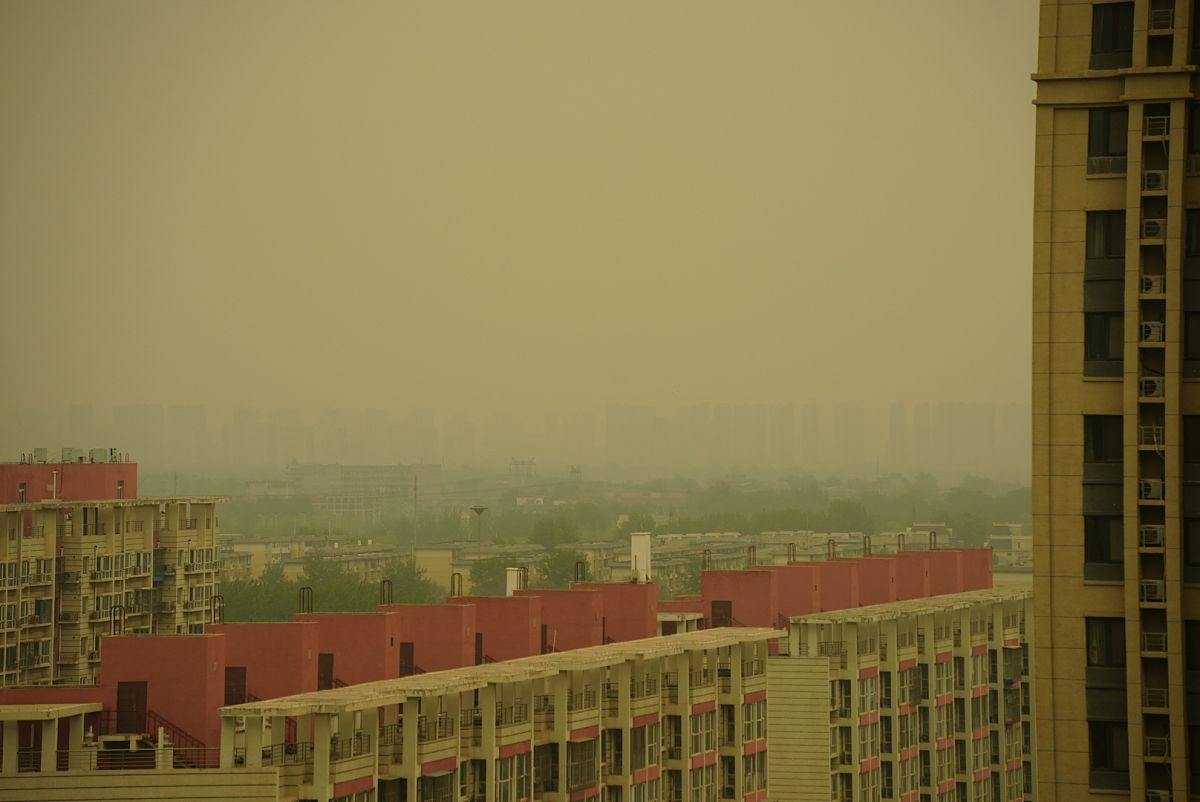 北京天气 - 当前晴天20度，东南风3级