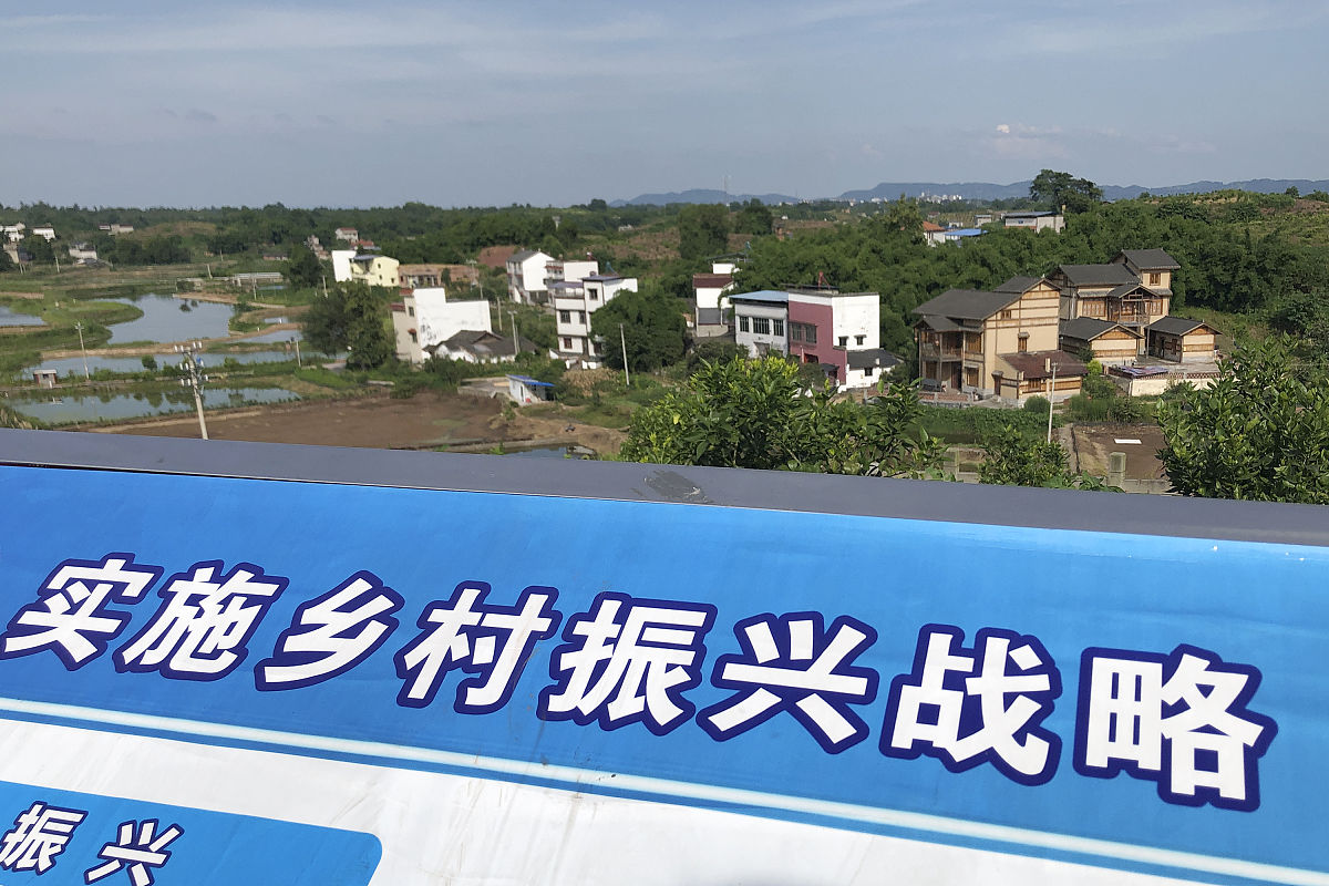 关于乡镇的主题为我为家乡发展出谋献策的议论文要求