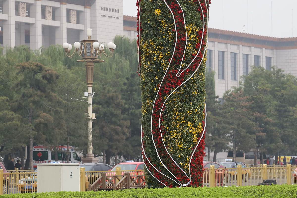 2014年9月22日,"国产菊花"在天安门广场东西两侧的"祥云柱"上绽放.