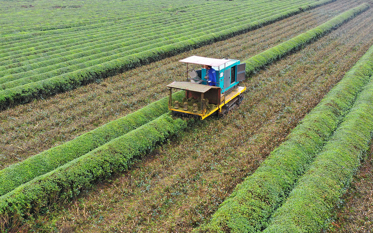 四川2022年去汽修学校学什么专业好