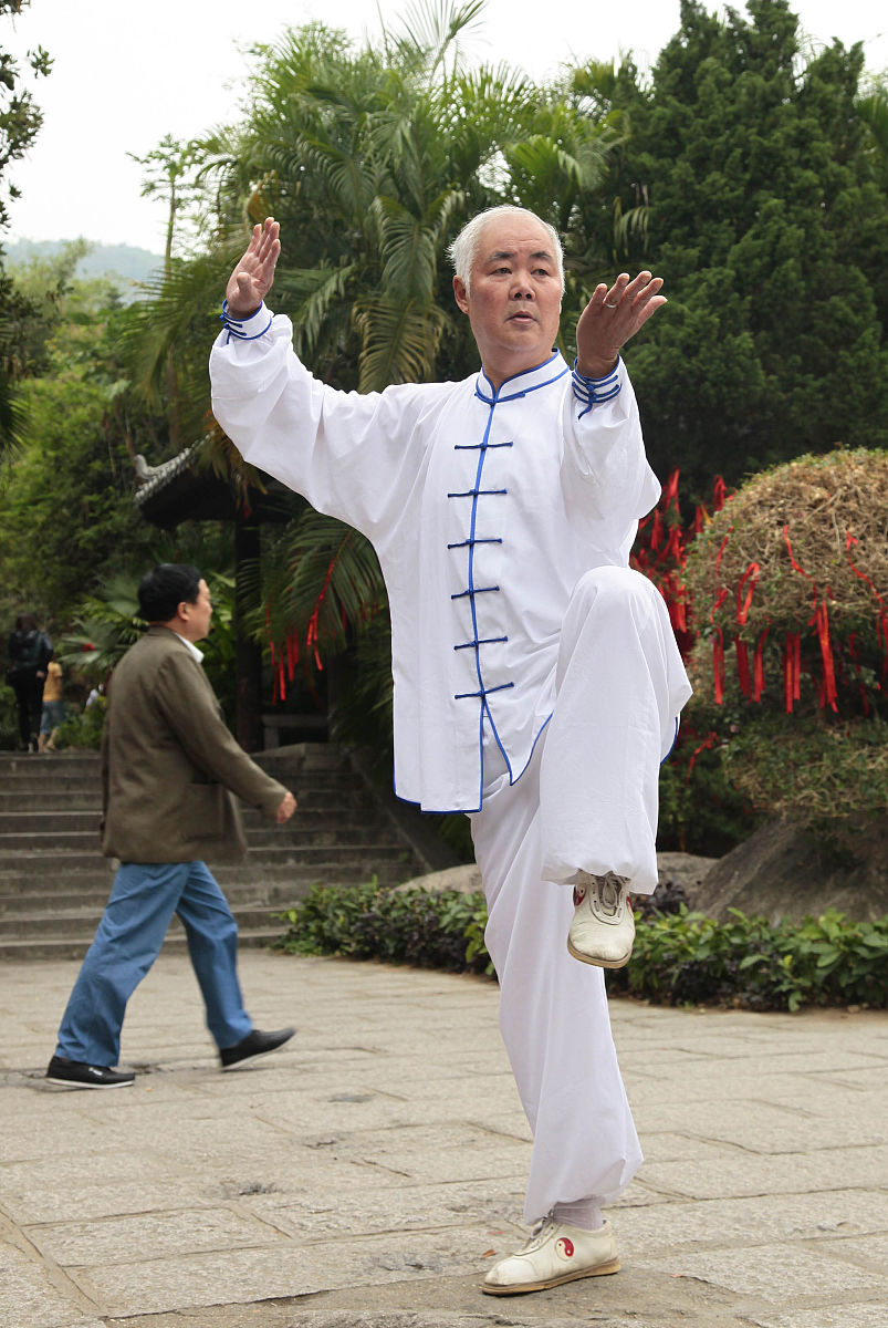 品味柳树的乐趣：小学生作文