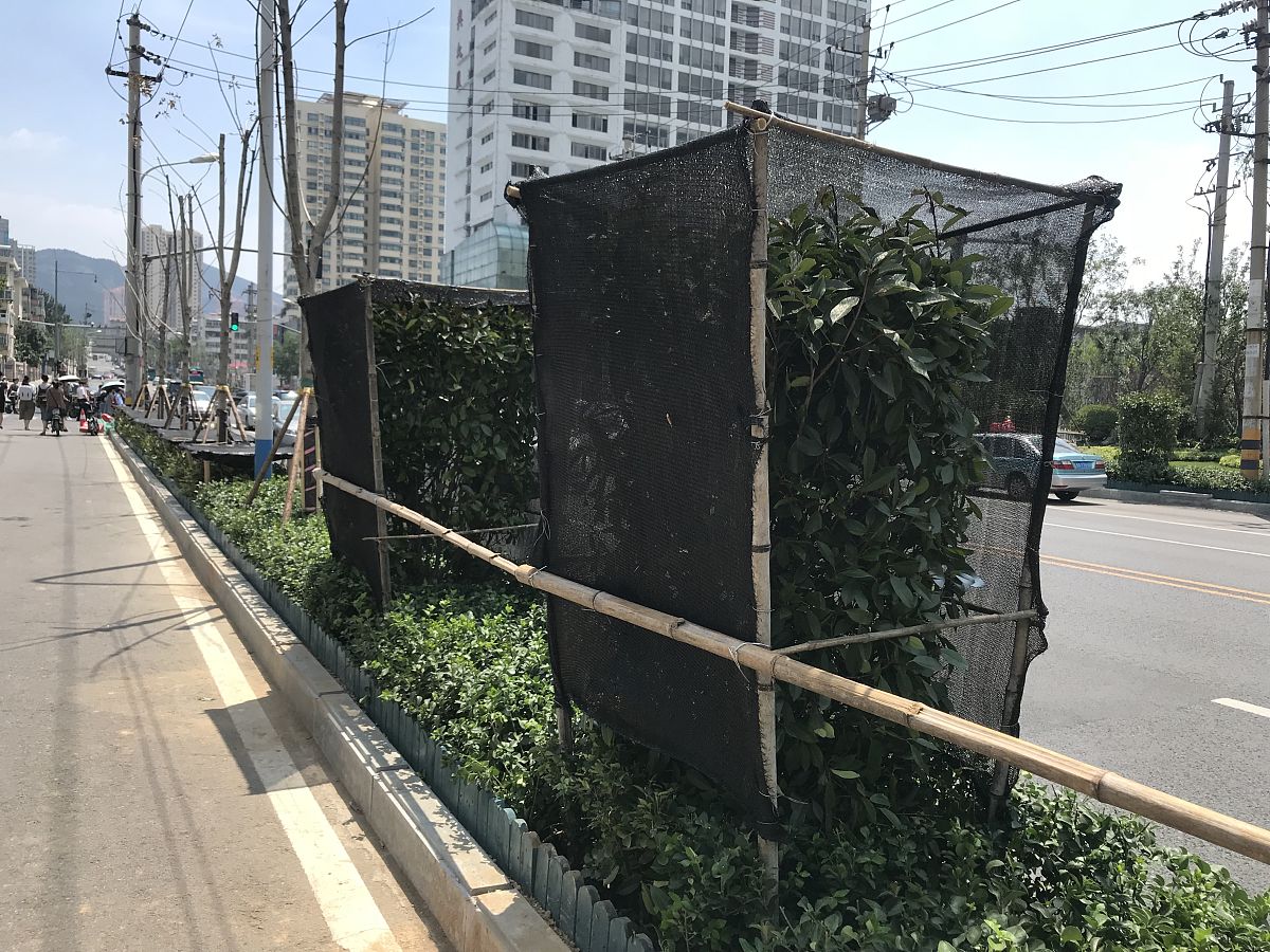 济南海信创智谷施工现场案例：花箱造景设计打造浪漫夏日休闲空间