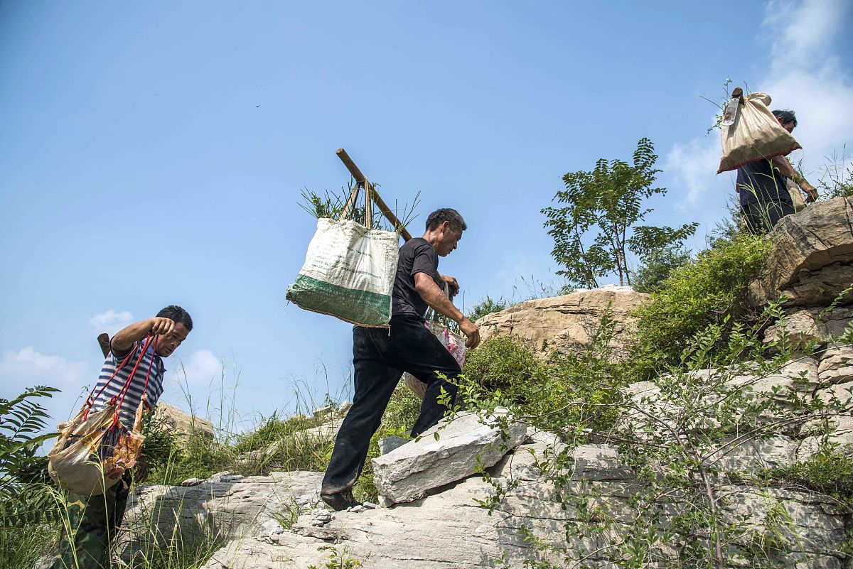 一位老人因为需要赚取生活所需的金钱在没有很其他选择的时候所以必须挑水到泰山顶上去卖你认为他挑的仅仅只是水的重量吗？