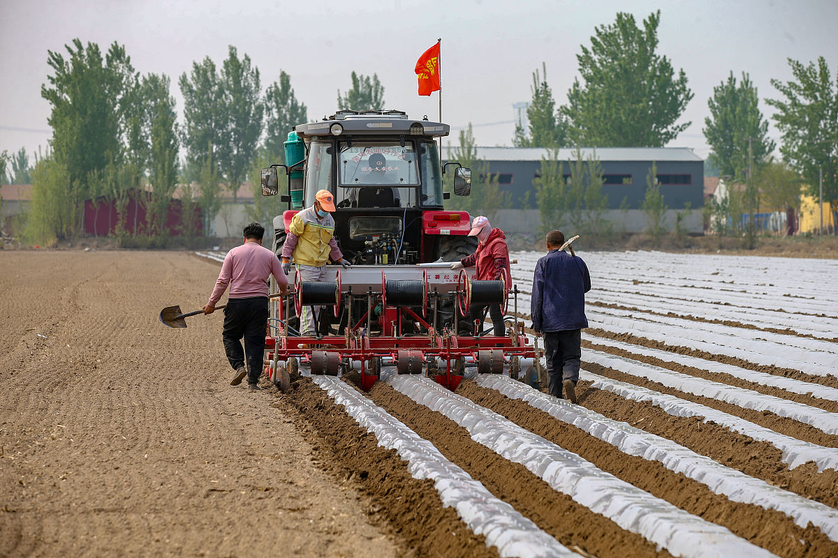 汤原县农业机械化学校怎么样？正规吗？ - 深入了解师资力量和设施