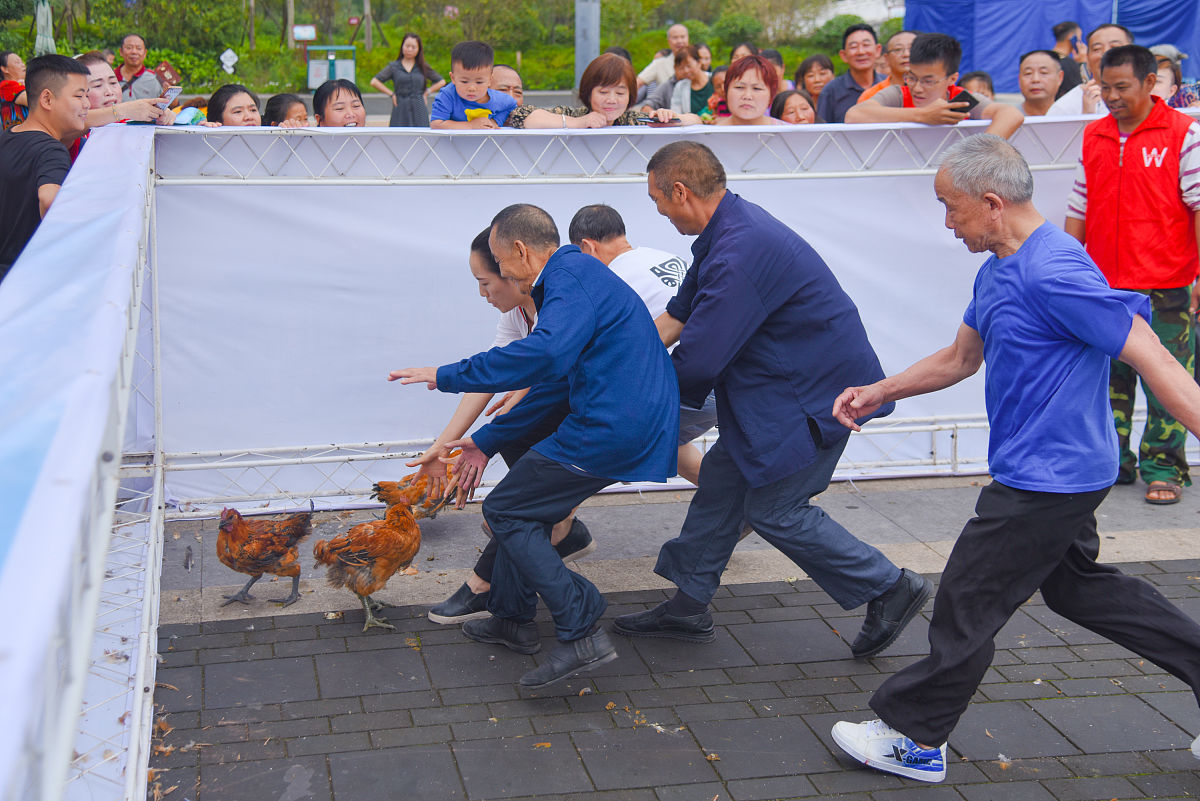 梦幻西游单开：自由探索与个性化体验