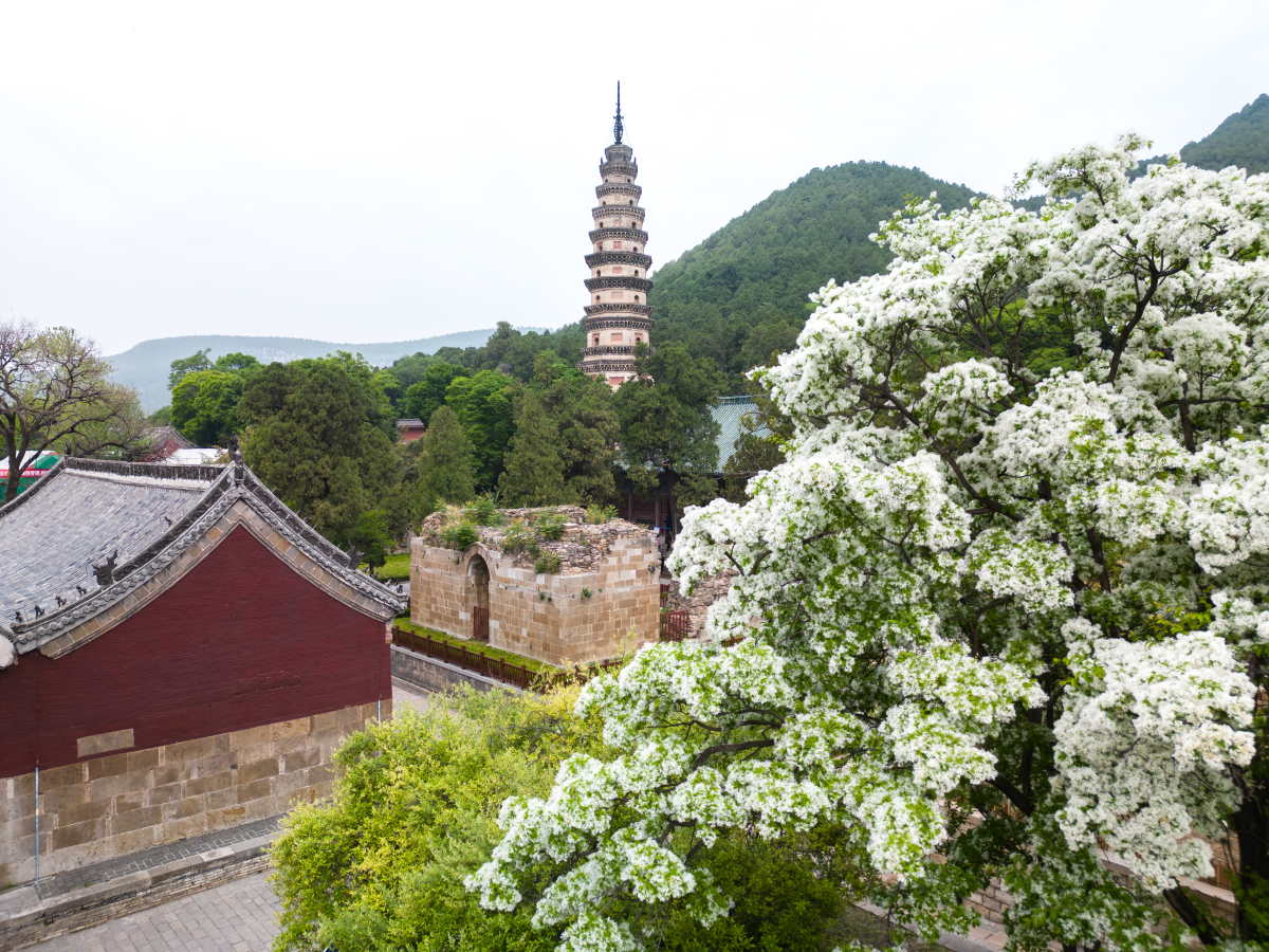 山东济南旅游景点有哪些,山东济南旅游景点有哪些地方