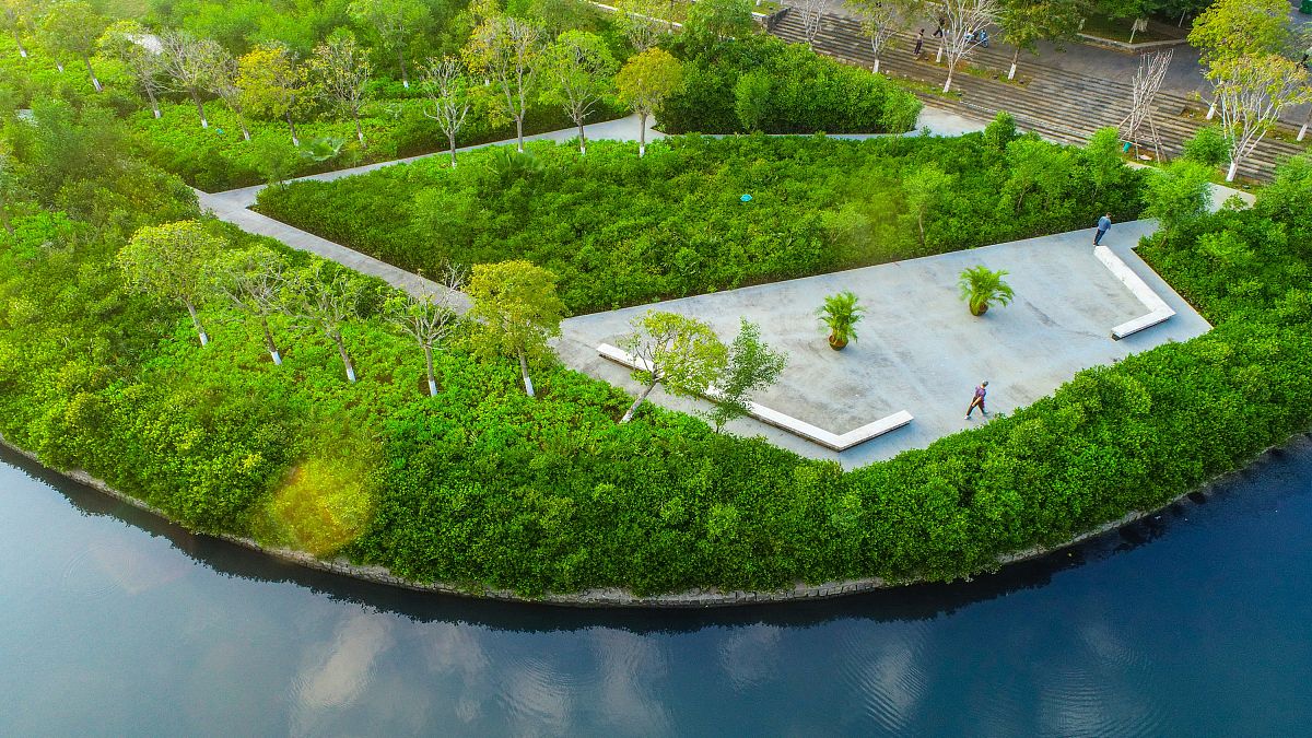 Richard T.T. Forman：重塑景观规划设计的生态之声