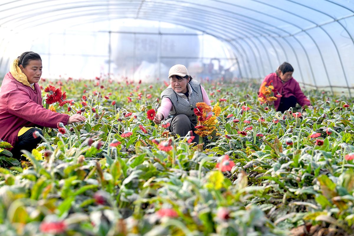 2022年曲靖市师宗职业技术学校果疏花卉生产技术专业招生