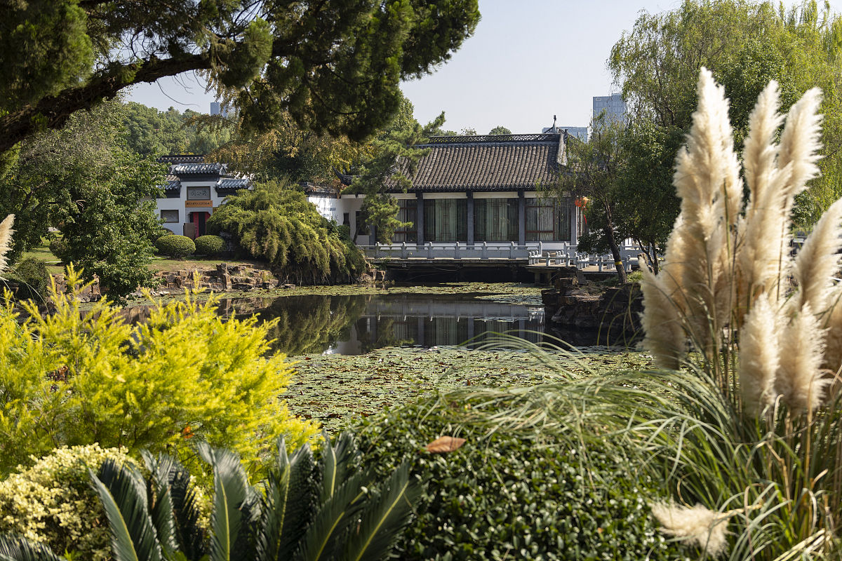 铜陵媒体曝光求助热线是多少 要求写一篇500字左右的文章