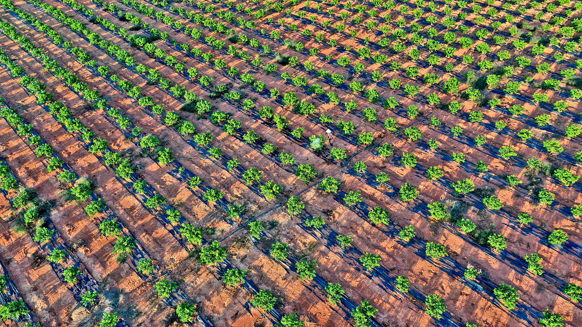 江西应用技术职业学院连锁经营管理专业课程设置有哪些
