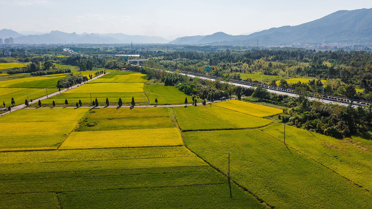 河南农业职业学院种子生产与经营专业好就业吗