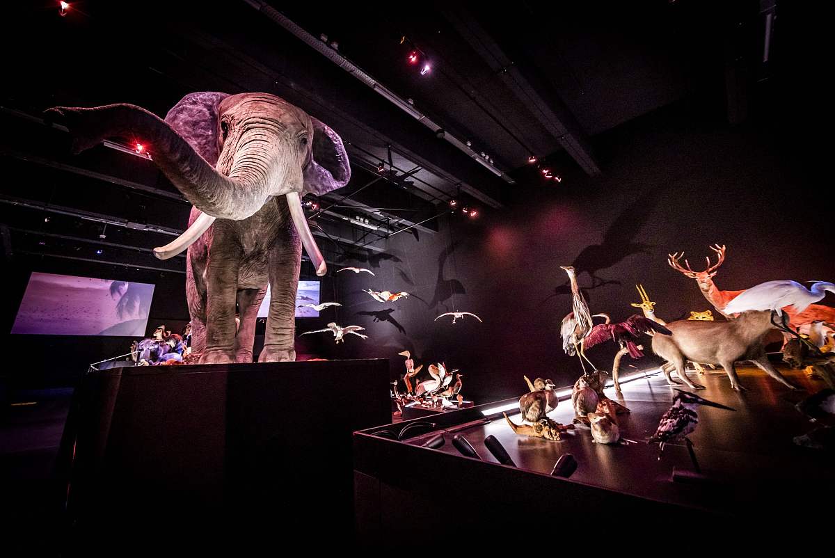 纯水精灵游戏攻略：不存在的生物，你需要提供更多信息